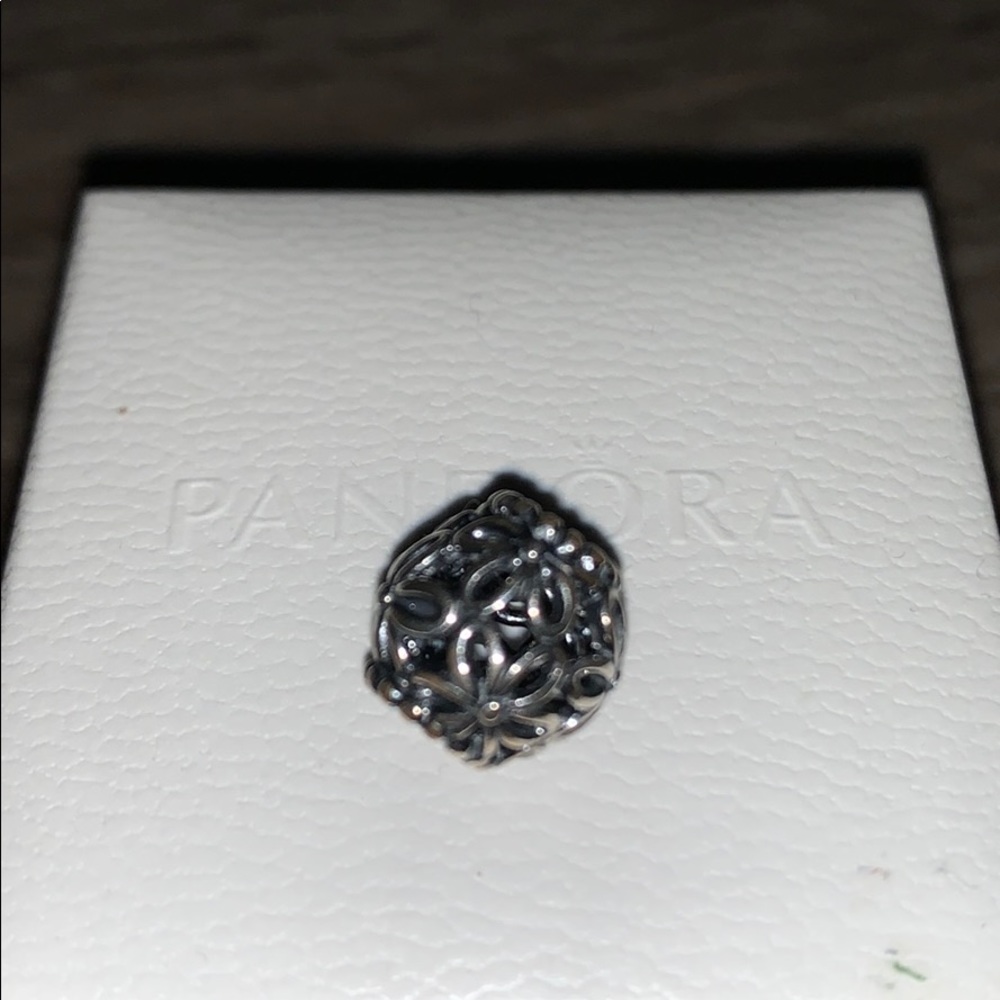 Pandora brand new charm